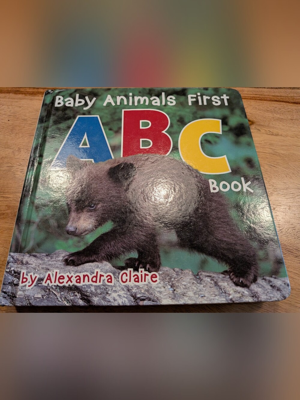 Baby Animals First ABC Board Book - Colorful Bear Cover